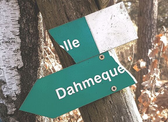 Unsere Tourenempfehlung in dieser Ausgabe: Ab auf den Dahme-Radweg.