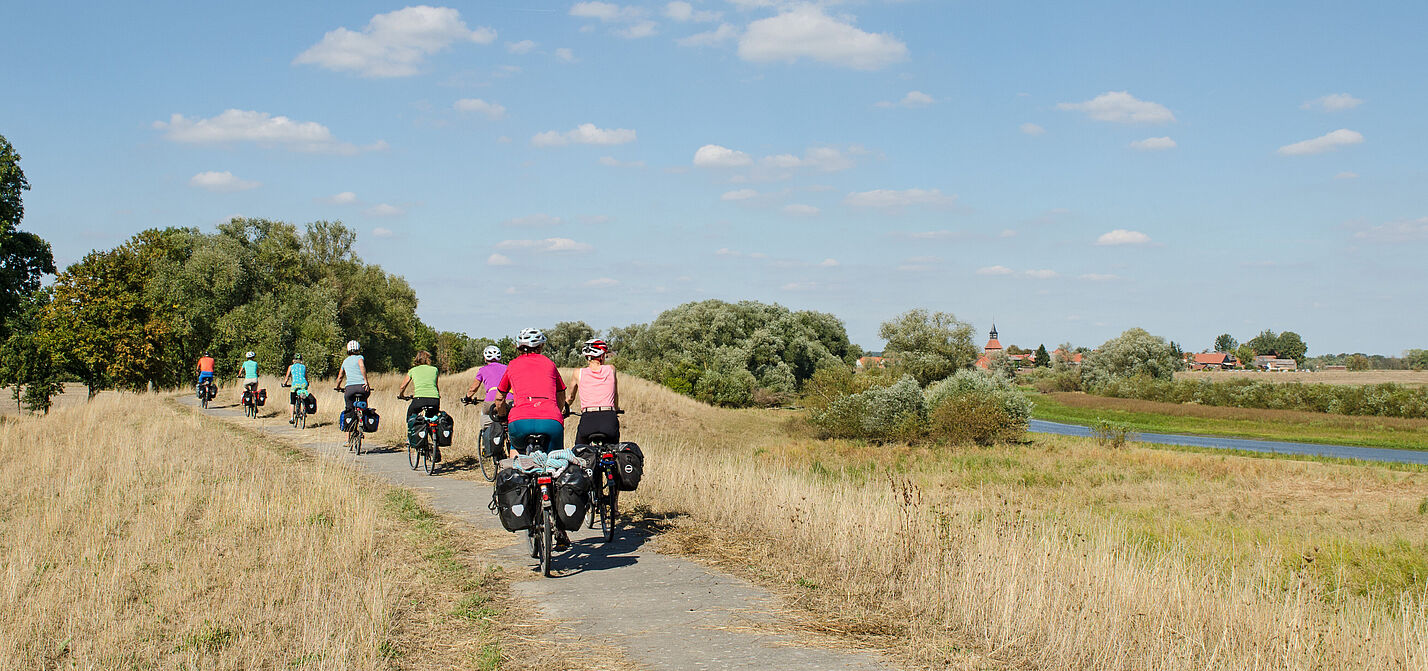 Auf dem Elbeteich