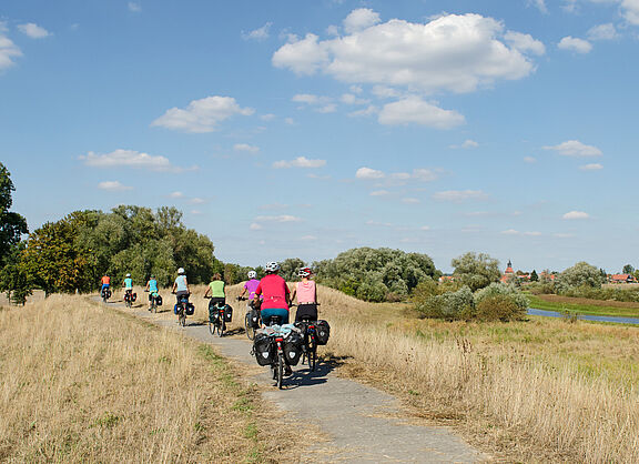 Auf dem Elbeteich