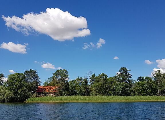 Insel mit Hütte im Tollensesee 