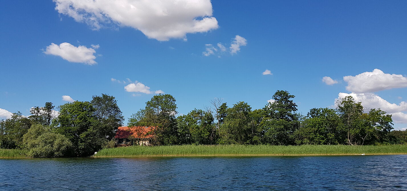 Insel mit Hütte im Tollensesee 