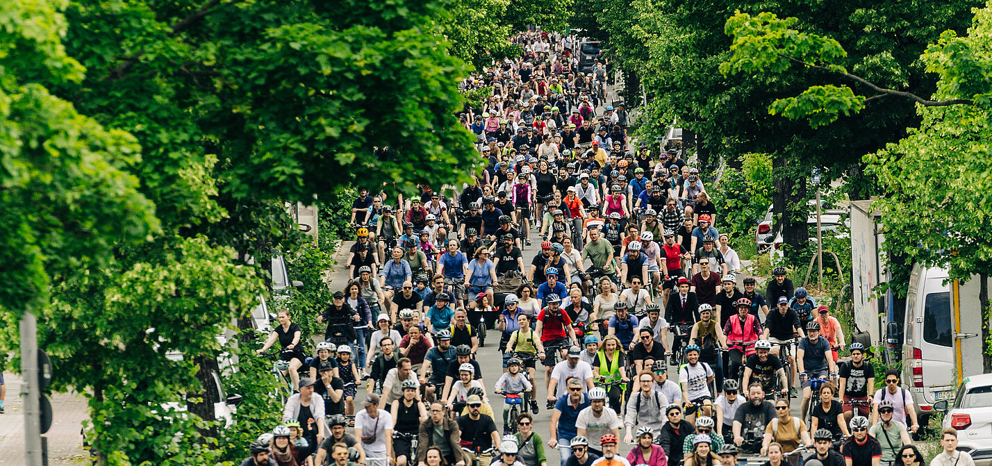 Dutzende Radfahrende auf einer Baumallee