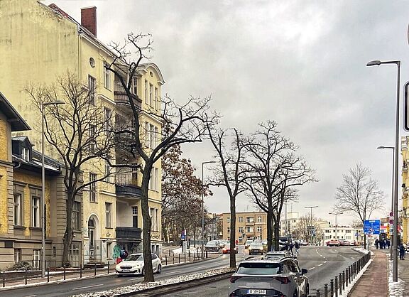 Tempo 30 Schild mit Zusatz "von 22 Uhr bis 6 Uhr" auf der Saarstraße in Berlin Friedenau