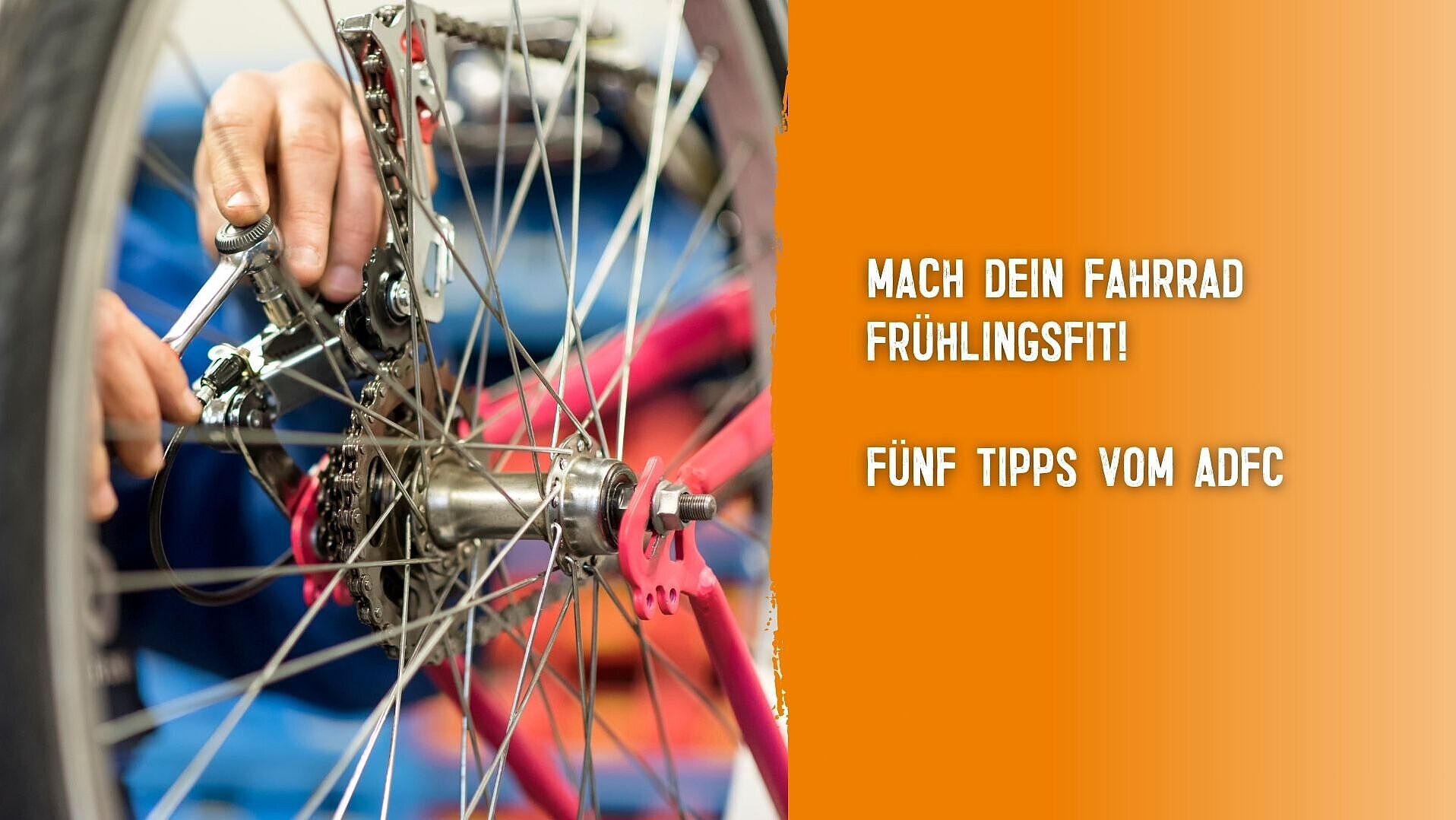 Mach dein Fahrrad frühlingsfit - 5 Tipps vom ADFC