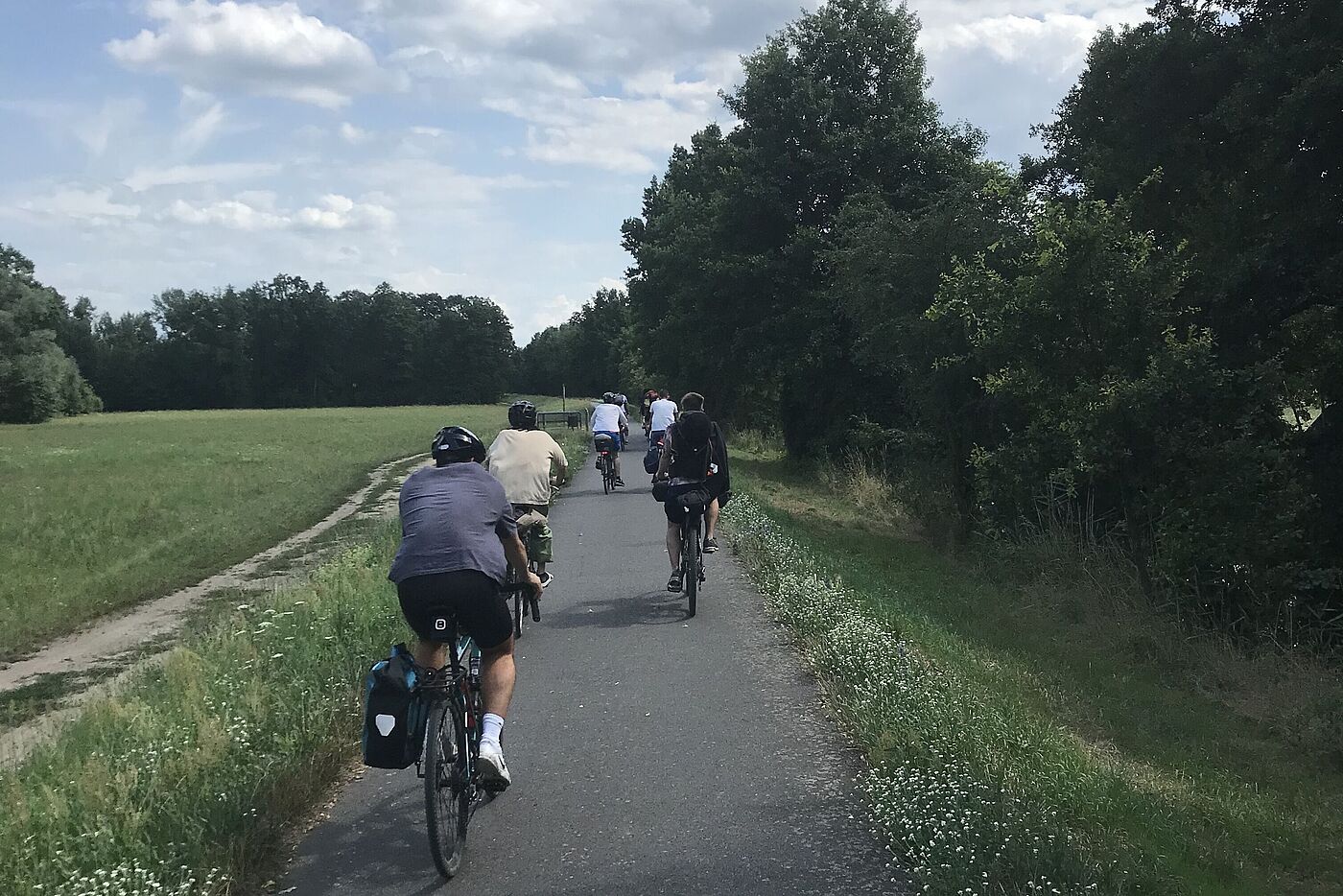 Radfahrende auf Radweg durch grüne Wiesen, blauer Himmel