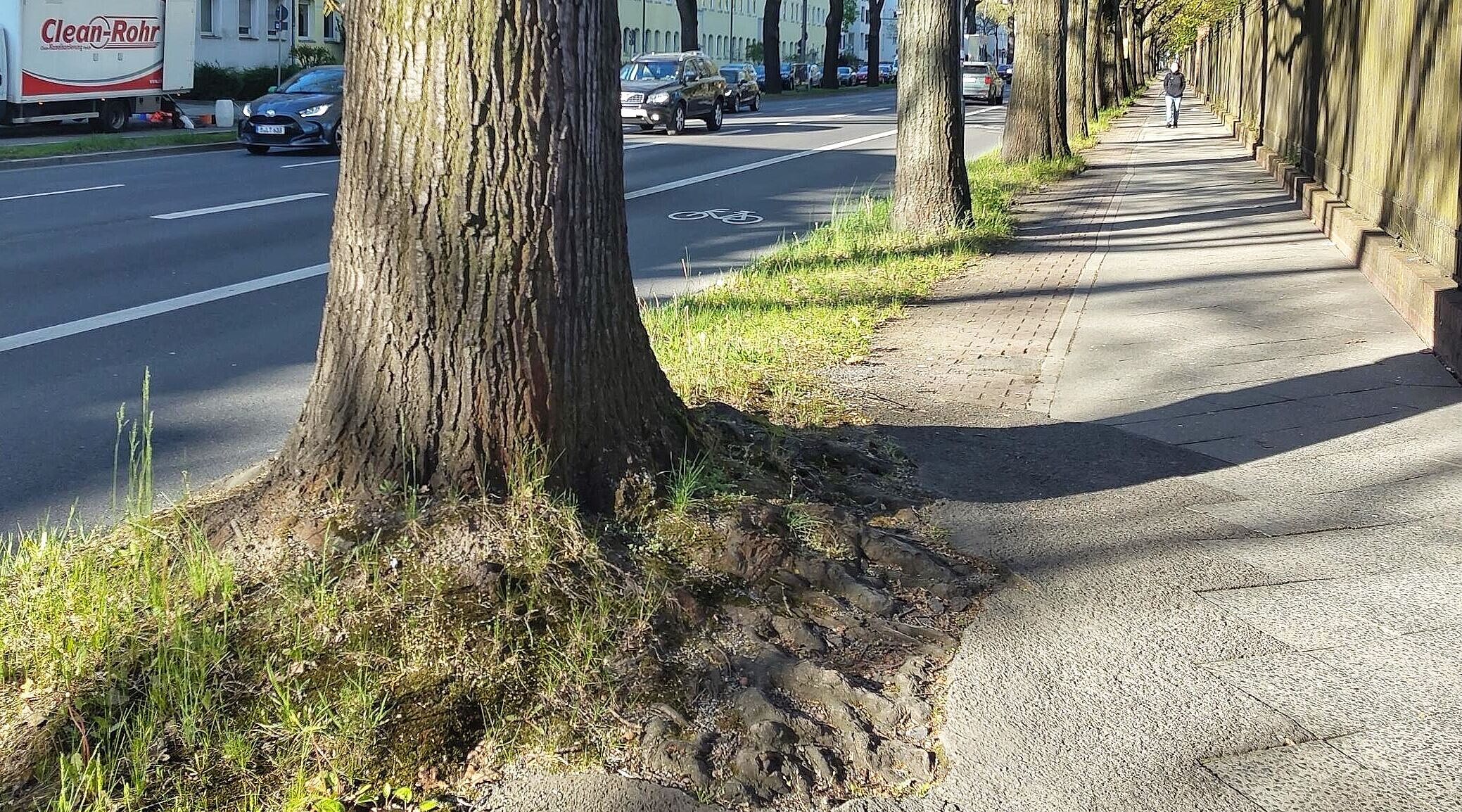Rad-Busstreifen auf der Fahrbahn Unter den Eichen in Berlin Steglitz-Zehlendorf und Hochbordrad auf dem Gehweg. 