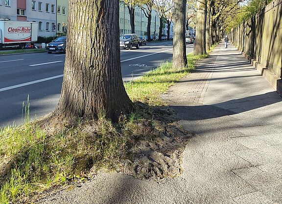 Rad-Busstreifen auf der Fahrbahn Unter den Eichen in Berlin Steglitz-Zehlendorf und Hochbordrad auf dem Gehweg. 