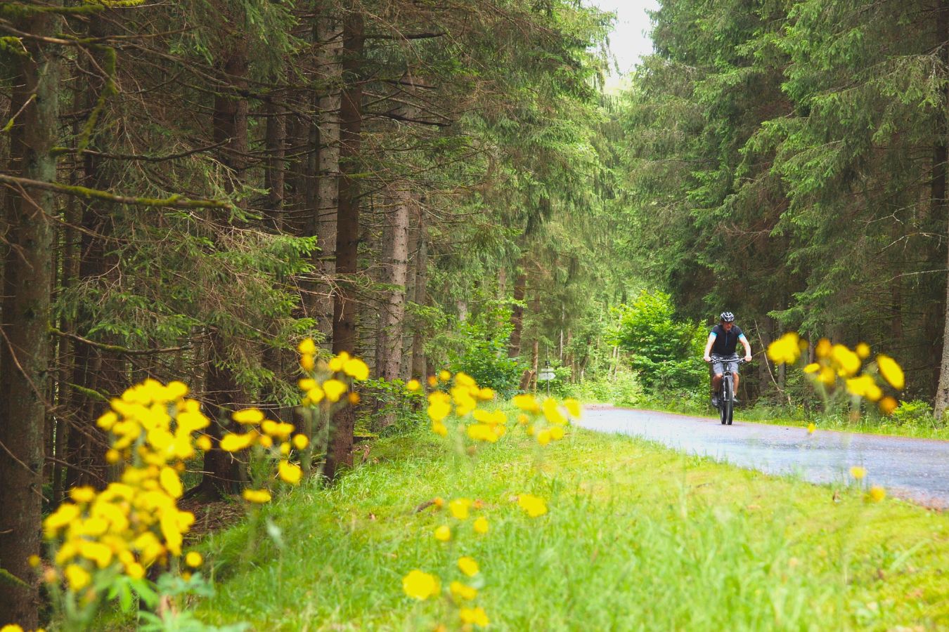 Radlvergnügen an der Fichtelnaab bei Mehlmeisel.